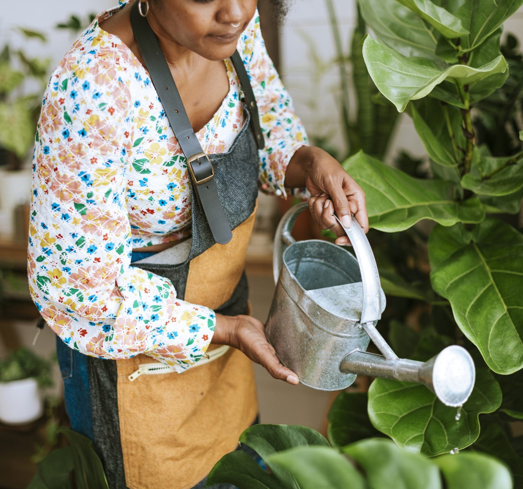 Small business worker watering plants